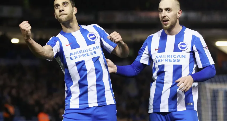 A Vital Piece of the Seagulls' Puzzle